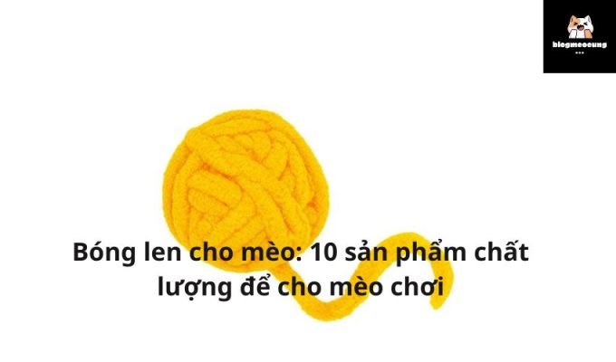 Bóng len cho mèo: 10 sản phẩm chất lượng để cho mèo chơi