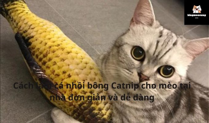 Cách làm cá nhồi bông Catnip cho mèo tại nhà đơn giản và dễ dàng