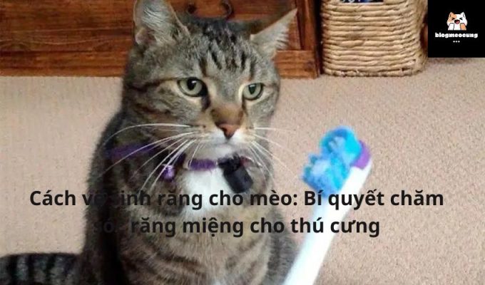 Cách vệ sinh răng cho mèo: Bí quyết chăm sóc răng miệng cho thú cưng