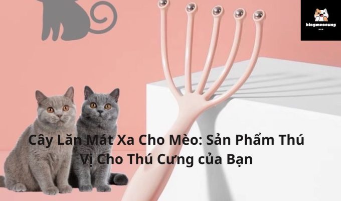 Cây Lăn Mát Xa Cho Mèo: Sản Phẩm Thú Vị Cho Thú Cưng của Bạn