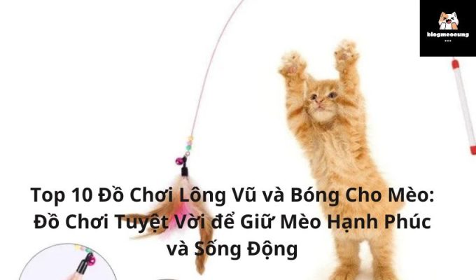 Top 10 Đồ Chơi Lông Vũ và Bóng Cho Mèo: Đồ Chơi Tuyệt Vời để Giữ Mèo Hạnh Phúc và Sống Động