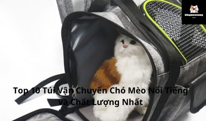 Top 10 Túi Vận Chuyển Chó Mèo Nổi Tiếng và Chất Lượng Nhất