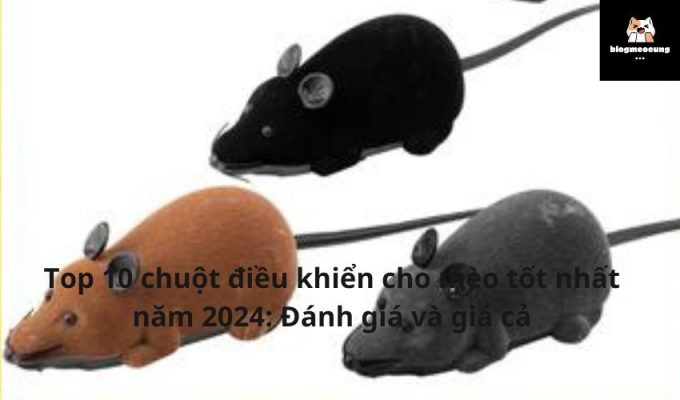 Top 10 chuột điều khiển cho mèo tốt nhất năm 2024: Đánh giá và giá cả