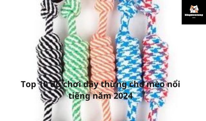 Top 10 đồ chơi dây thừng cho mèo nổi tiếng năm 2024