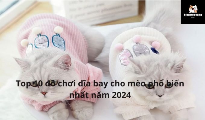 Top 10 đồ chơi dĩa bay cho mèo phổ biến nhất năm 2024