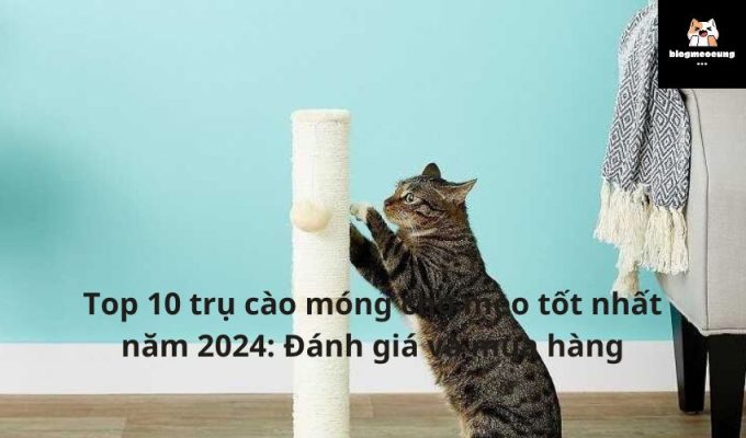 Tìm hiểu trụ cào móng cho mèo tốt nhất năm 2024: Đánh giá và mua hàng